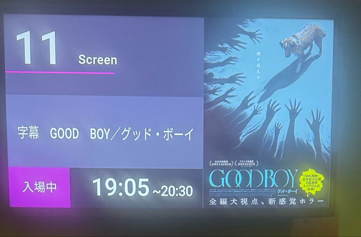 nakedframe77's tweet photo. GOOD BOY観にきた。
ホラーの客層じゃないから多分これは心温まるファミリー映画🐕
#GOODBOY https://t.co/mz2LQcmeeD