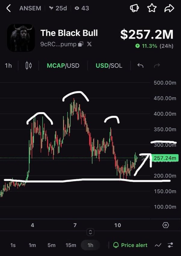 TheFantasyTeach's tweet photo. @sue_xbt $ANSEM UPDATE:  Reversal is in. Hit Pre Head&amp;Shoulders line and bounced. Going Back to 280 then to 300-320.
Chart Don’t Lie
 
TIMETO ROTATE OUT OF $CASHCAT and back into $ANSEM Fill those bags at this discount before WE ARE BACK TO ATH!

RESUME bull posting with @blknoiz06 https://t.co/Akm2ivBcQh