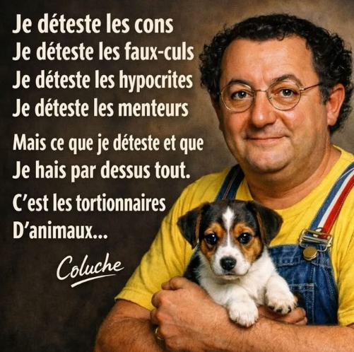 Amanda 🇫🇷 tweet media