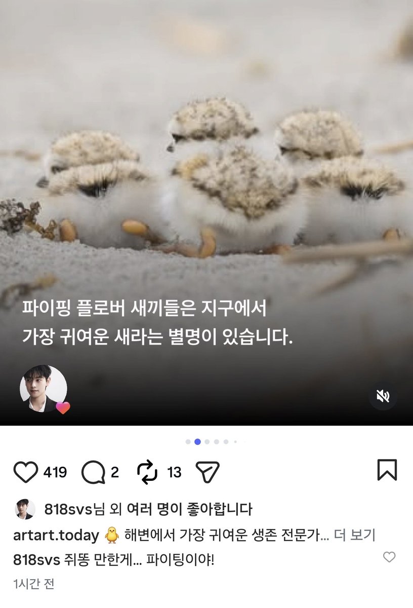 818svs's tweet photo. 아 ㅋㅋㅋㅋㅋㅋㅋㅋㅋㅋㅋㅋㅋㅋㅋㅋㅋㅋㅋㅋㅋㅋㅋ 인스타에 댓글단글보고 빵터짐 하 ㅋㅋㅋㅋㅋㅋㅋㅋㅋㅋㅋㅋㅋㅋㅋㅋㅋㅋㅋ https://t.co/pqVfcoHS26
