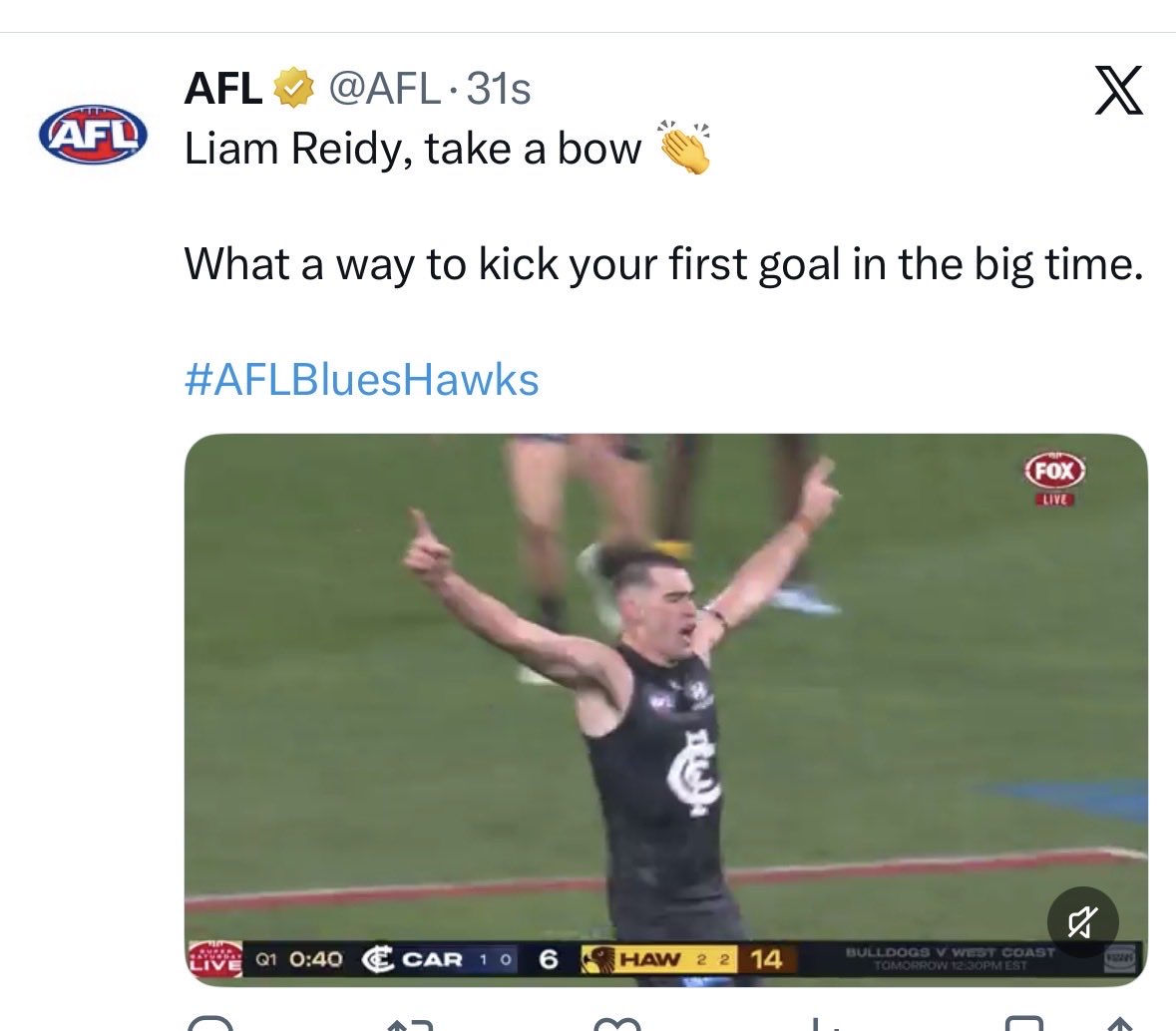 emmettoreilly's tweet photo. Clearly even the @AFL can’t even see whose playing …

#AFLblueshawks https://t.co/AWuutm91ky