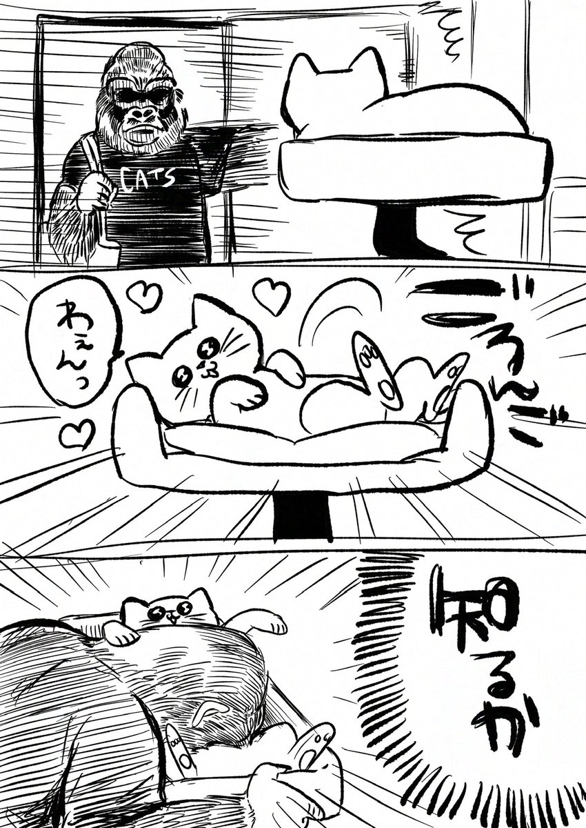 SBPT0503's tweet photo. 昨日 https://t.co/f0AflwISLe