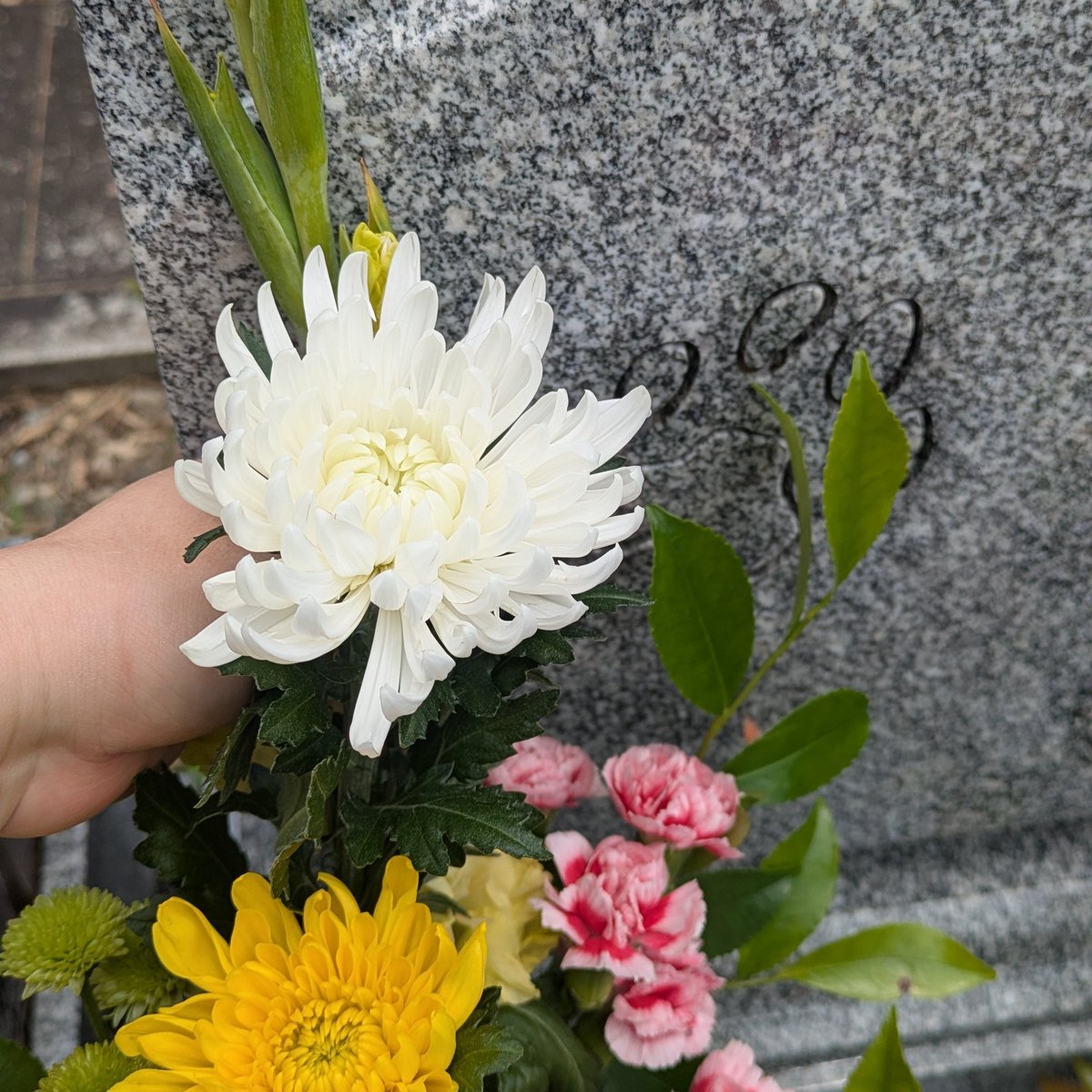 Bakemogu's tweet photo. 今月のお墓参り。曇ってたケド暑い⋯向日葵を足したかったけど3軒回ってもなんかショボショボ向日葵しかなくて、断念した。(⁠ ⁠；⁠ｘ；⁠)来月こそは。 https://t.co/69egYfc5td