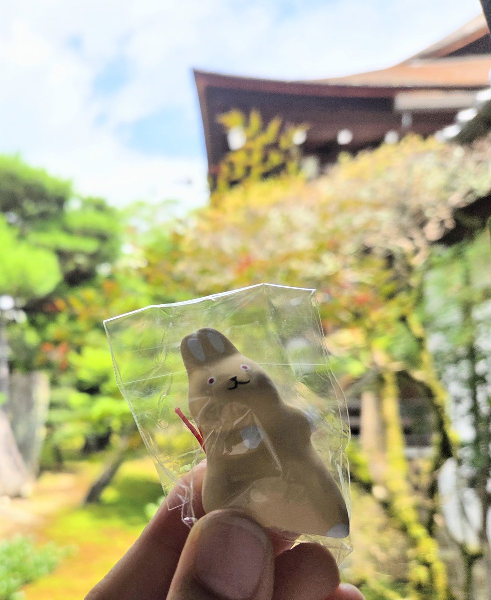 hill_lack's tweet photo. 大覚寺さんの🐰のお守り可愛い✨白黒さんと黒さんは欠品中でしたが元より数が少なかったとのこと、7月末には入荷予定らしいので8月の写経絵の際にお迎えしたいです https://t.co/GI42mMQloU