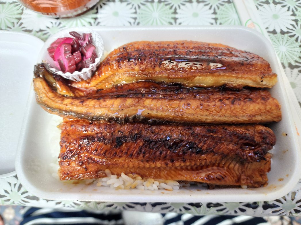 riza_k's tweet photo. 暑い日が続くので家族6人で鰻を食す
桶を取りにこなくて良いよう＆エコプラ容器なので
安っぽく見えるけどお寿司屋さんの特上なのだ！ https://t.co/zUlmCbUxKO