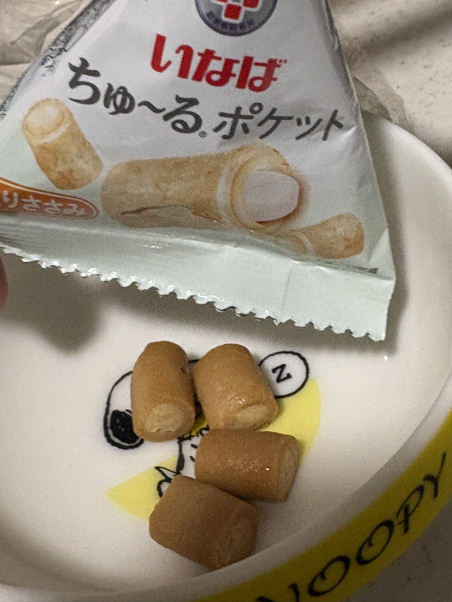 Biwanosuke84's tweet photo. ���ちました！！！！！！
騙された！！！！！！！
すご〜〜〜〜〜く怪しみながら召し上がっていたので、何回持つかは分かりませんが……
しかし！教わった中で、まだ試し前の作戦も多数あるので、心強いです💊

先輩方からのたくさんの助言、本当に助かりました……🙇
X、ありがとう、良い薬です。 https://t.co/q2tilGEoFx