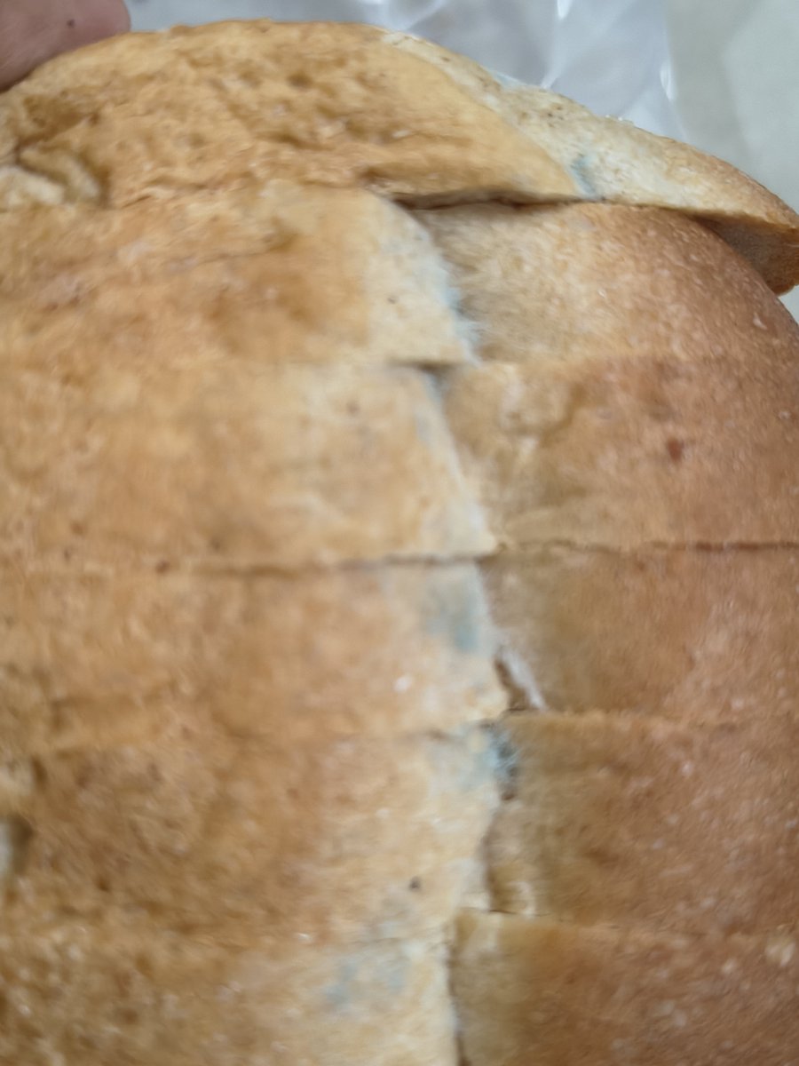 nilr25's tweet photo. @Tukaram_IndIAS Sir this is bread I ordered on zepto considering the premium quality as is made up from wheat but when opened it has a mold/fungus i complaint to zepto they refund me bt  I paid for quality which is not I am getting pls look in to it. It may expired n resent for seeling https://t.co/Hqme2tHqgf