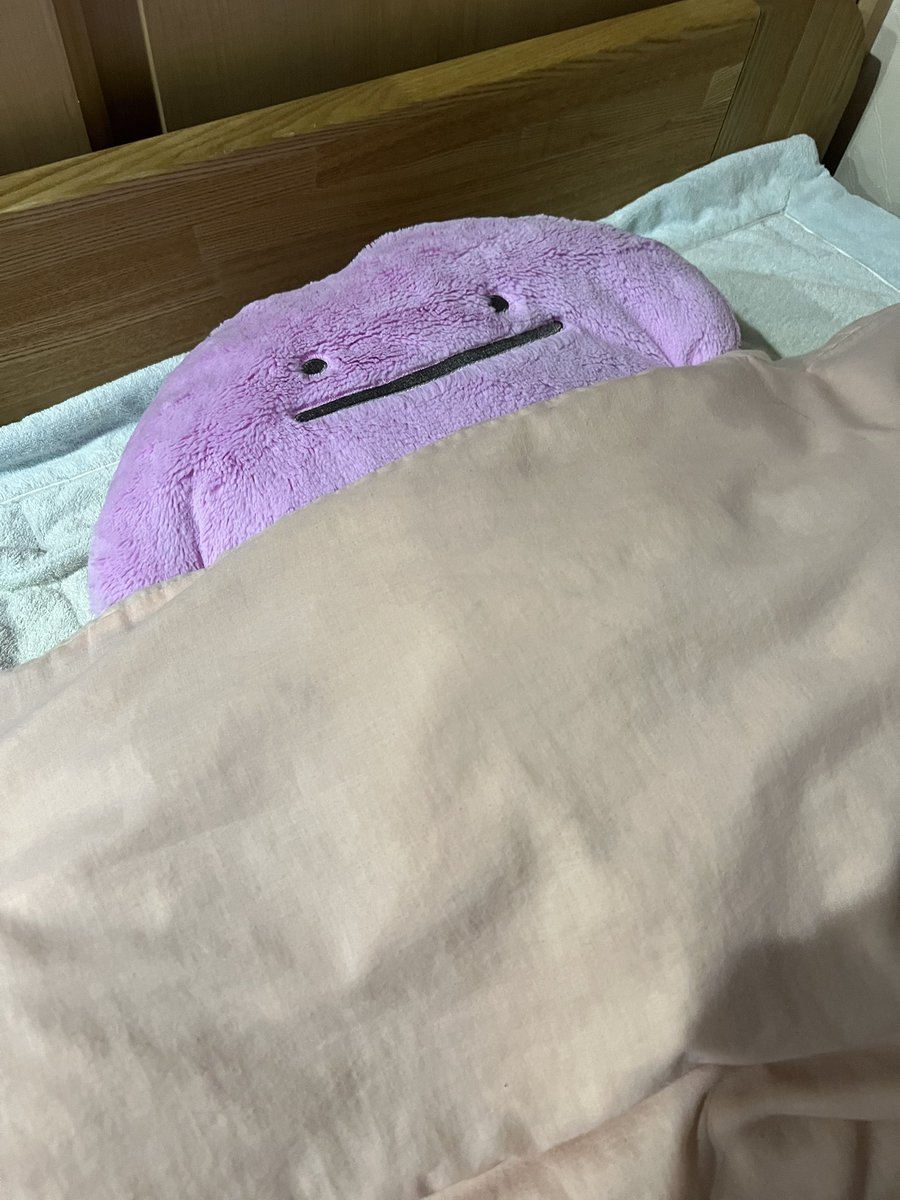 object_aqua's tweet photo. 実家帰ったら僕の代わりにメタモンが寝てた… https://t.co/u3G2S7FgLN