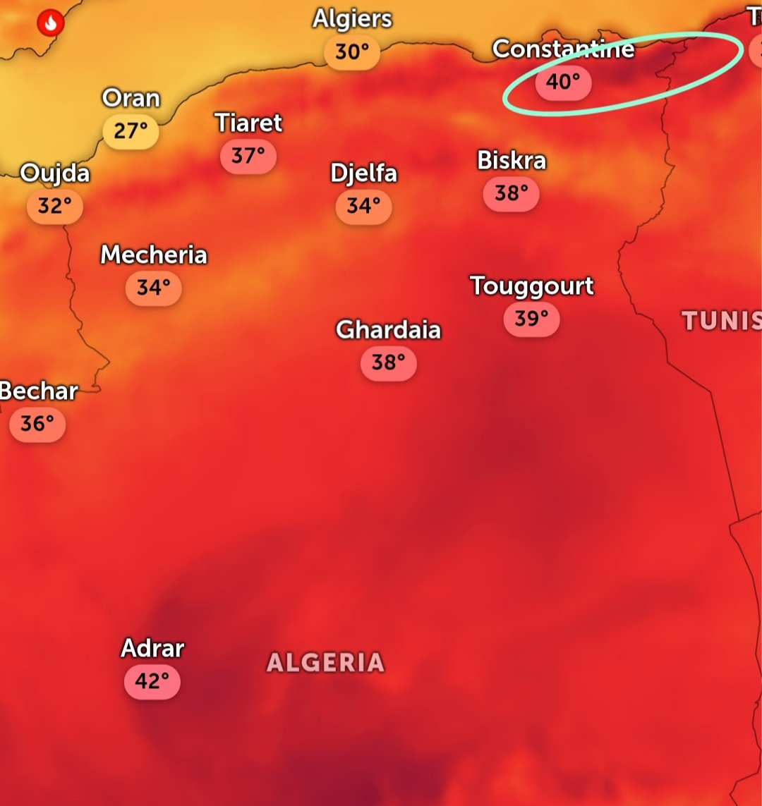 mafihachk's tweet photo. 🥵🌡️أعلى درجات الحرارة في #الجزائر 🇩🇿 حاليا في أقصى الشمال الشرقي من قسنطينة قالمة إلى الطارف بين 40 و 43 درجة https://t.co/PqaGzGpiG1