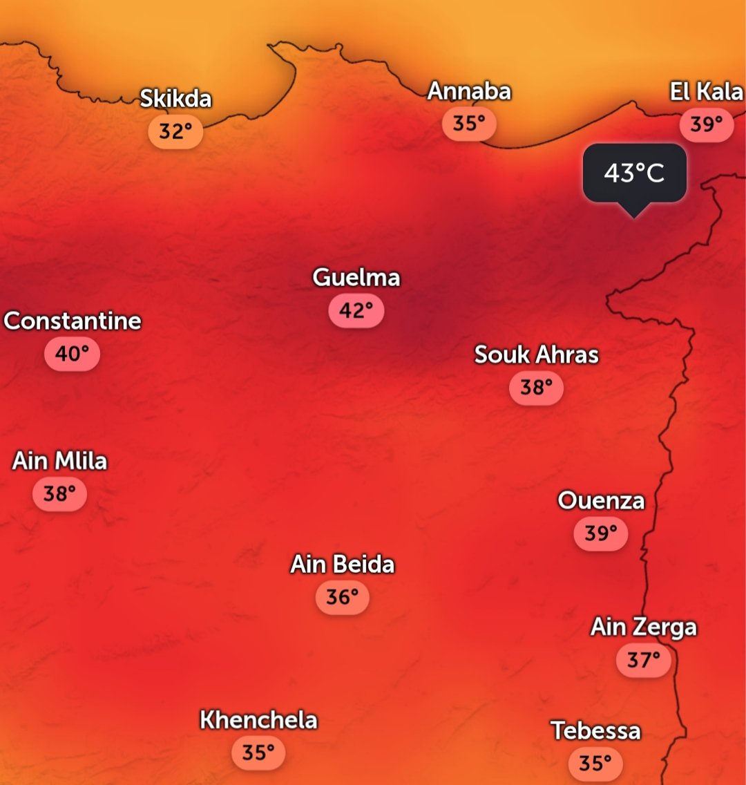 mafihachk's tweet photo. 🥵🌡️أعلى درجات الحرارة في #الجزائر 🇩🇿 حاليا في أقصى الشمال الشرقي من قسنطينة قالمة إلى الطارف بين 40 و 43 درجة https://t.co/PqaGzGpiG1