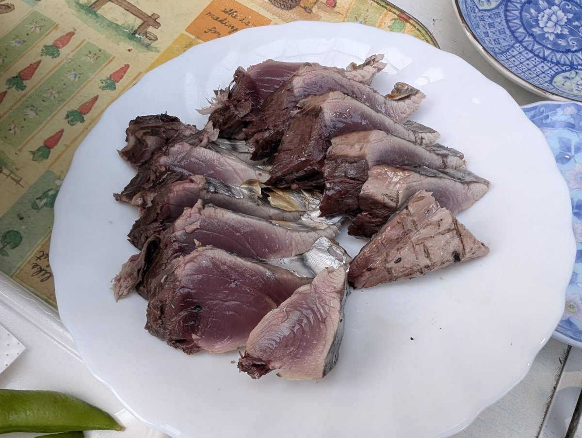 111_camp's tweet photo. タタキは自分手焼いたら美味いんです https://t.co/dgHZnOv3py