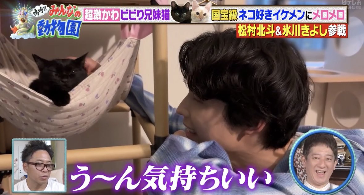 HSJ59_ST618's tweet photo. 猫が羨ましいと思うぐらい

#嗚呼みんなの動物園 #松村北斗 https://t.co/BqyJkxY122