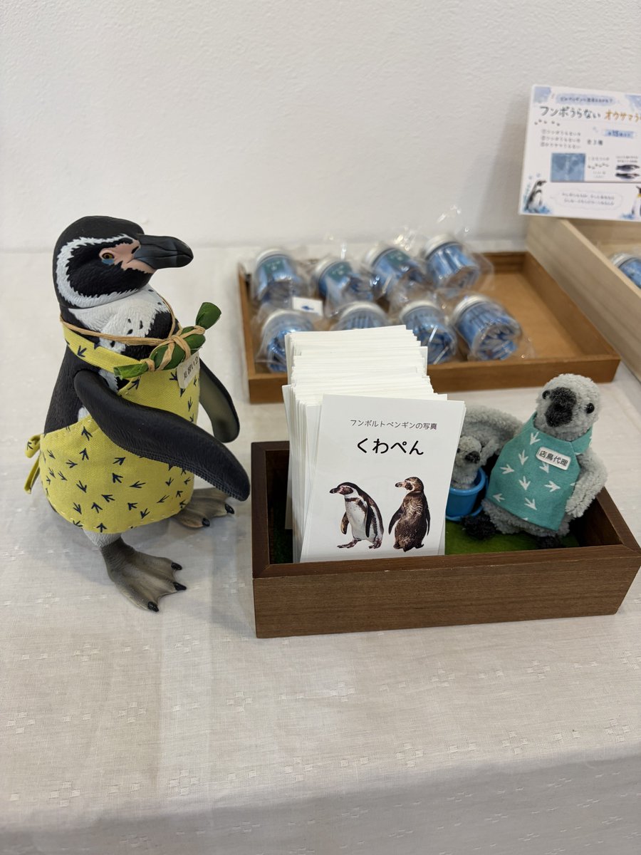 _98pen's tweet photo. ペンぎょ展、ジャックするぼぇぇぇぇ！その③

🐧見習い「ちゃんと働いているか？」
🐦店鳥代理「は、はいっ💦今日はスペシャルゲストがいらっしゃいます！」

※後ほどご紹介します

 #ペンぎょ展 https://t.co/rwGTrcguMR