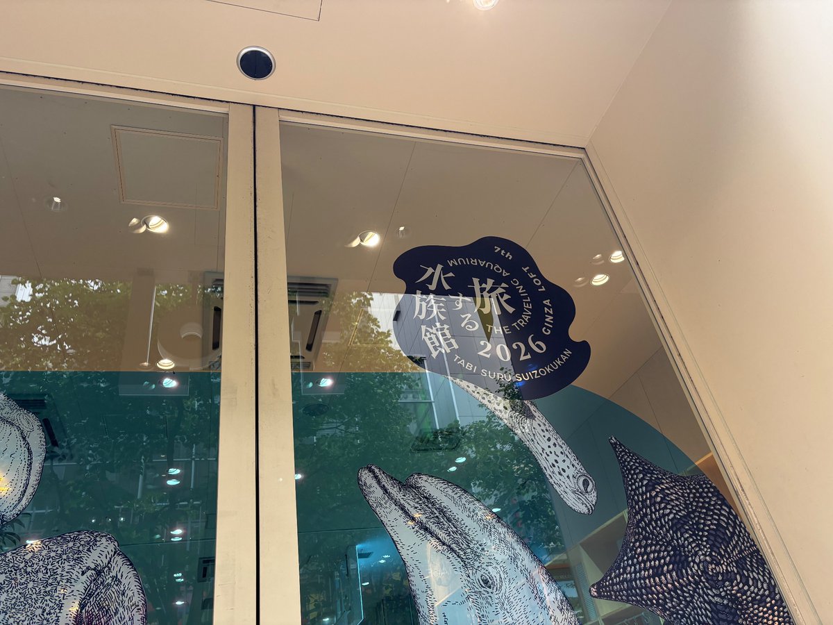 kani____crab's tweet photo. 2号とチェッカニ連れて横歩き🦀 https://t.co/aMYD0C5Bfj