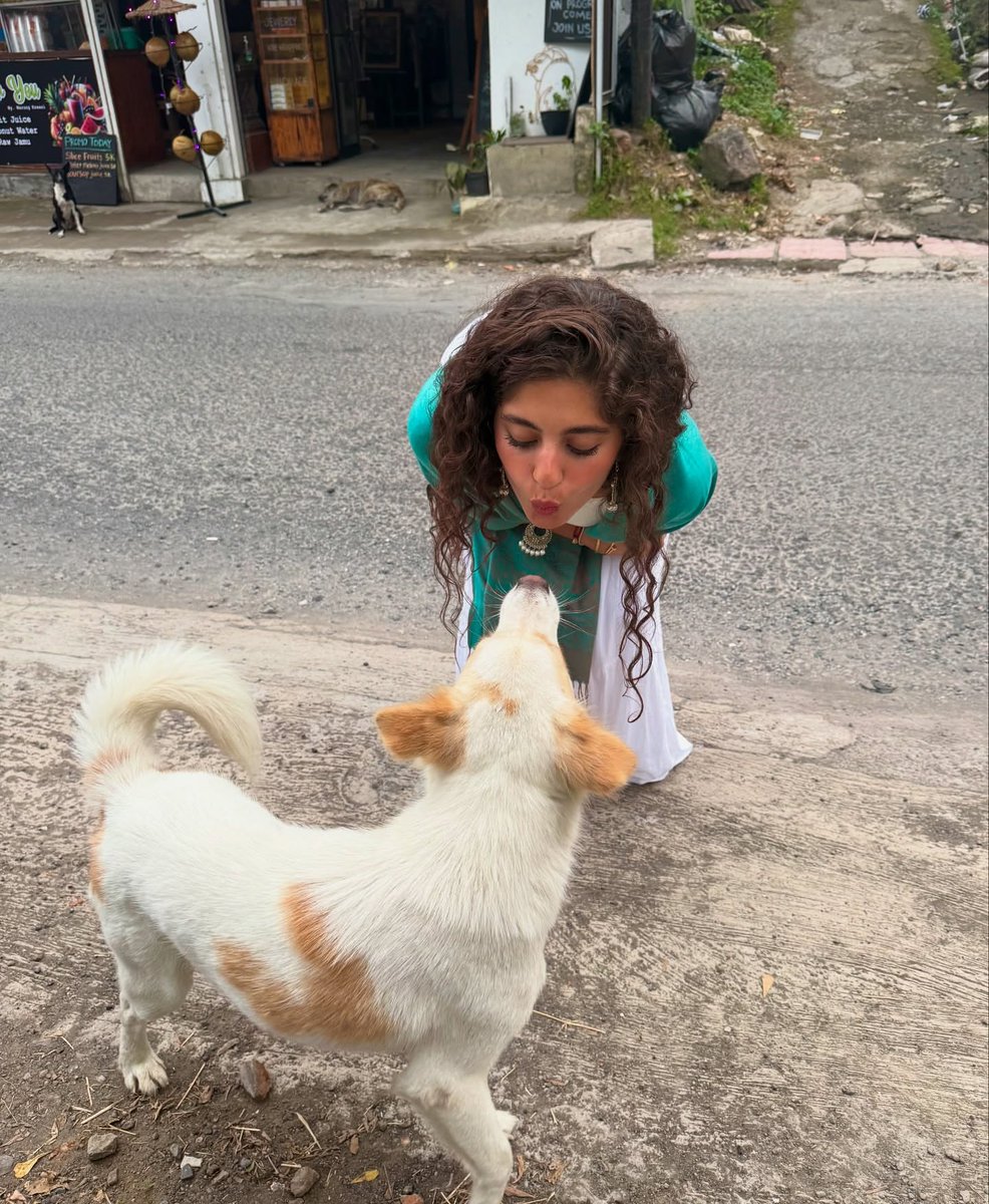 Qwb64896Ly's tweet photo. https://t.co/eDu5MejS7b
كلاب وخنازير مايان تيجي هنا اكبر تجمع للملكه هنا مسموح بدخول كل الميول شرط الدخول 
رتويت 🔃
لايك ❤
علق بتم 
نط خاص وهضيفك 🤤😈 https://t.co/ItqYwL1Yqf