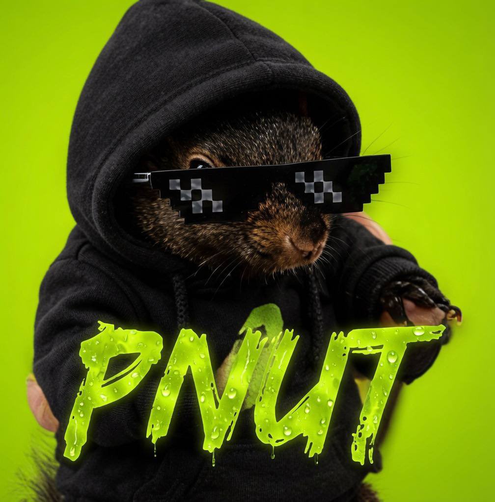 majestee0's tweet photo. @CryptoDefiLord $pnut https://t.co/8DdTu3nHKS