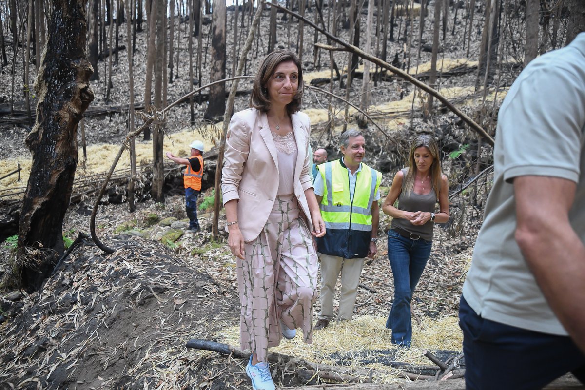 AngelRoConde's tweet photo. Xunto coa conselleira Ángeles Vázquez e persoal de Augas de Galicia, onte visitamos os traballos de conservación fluvial que se están a realizar nos regos de Lamas, Herbón e Xuane para evitar que o incendio de xuño provoque o arrastre de cinzas, sedimentos e solo cara aos ríos. https://t.co/AwR0JBqUDG