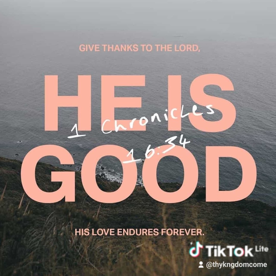 thykngdomcom tweet picture