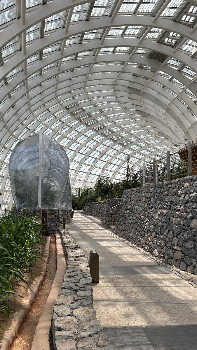 al__ab7's tweet photo. Botanical garden 🪴 https://t.co/Ba9ViRIt2P