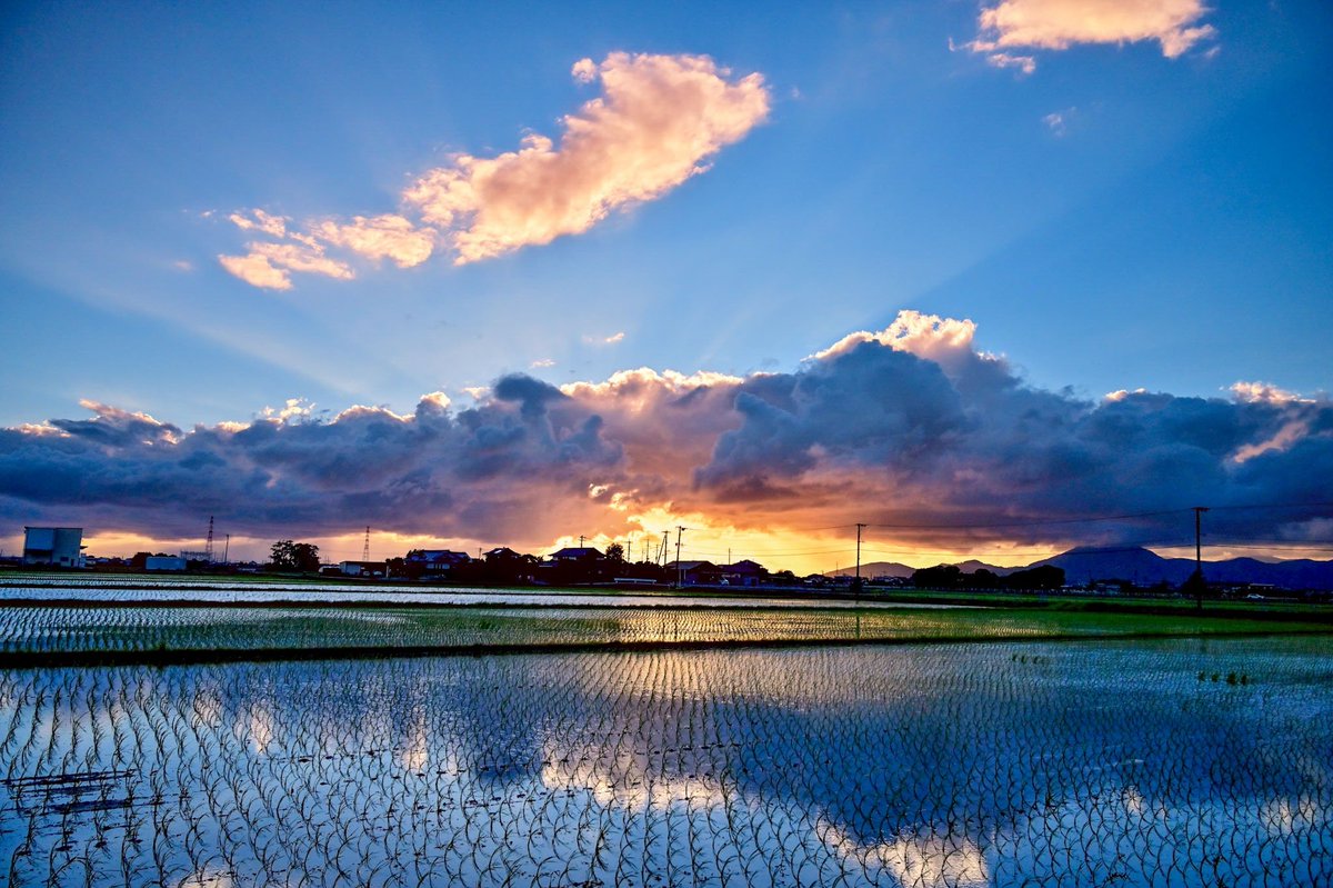 XBmBR0QytL03WsH's tweet photo. 田園風景 https://t.co/xxYTRnhrpY