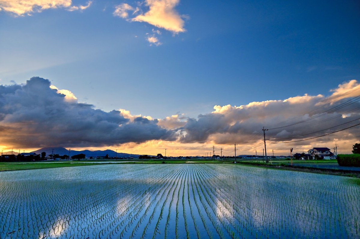 XBmBR0QytL03WsH's tweet photo. 田園風景 https://t.co/xxYTRnhrpY