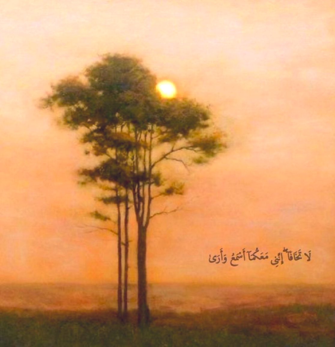 shm_rayz's tweet photo. “Fear not. Indeed, I am with you both; 
I hear and I see.”

Al-Quran~ 20:46 https://t.co/N4b9tJGH9y