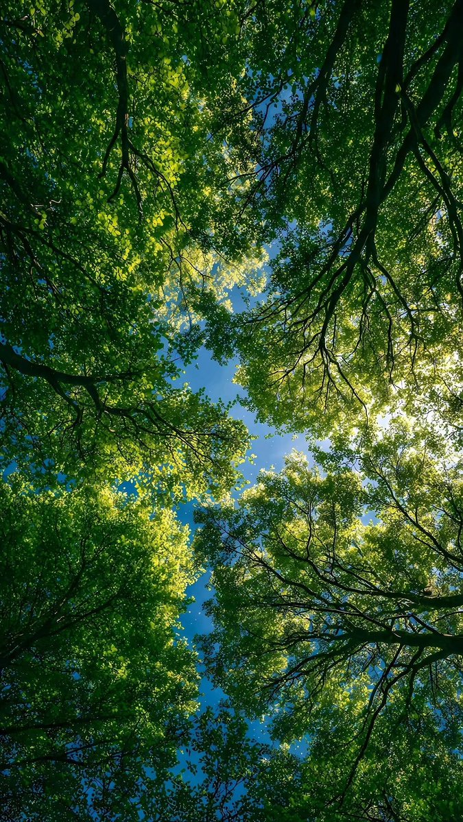 naturehealss's tweet photo. https://t.co/13Mi9Qn4Vq