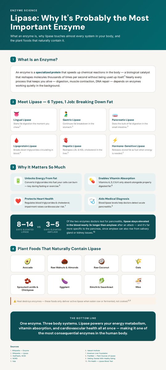 ThirtyOneCran's tweet photo. I truly desire for you to live a healthier life no matter who you are , no matter what’s your age or medical condition, or economic circumstances 

and there’s great benefit in eating plant based foods https://t.co/B0NkwAwFUm