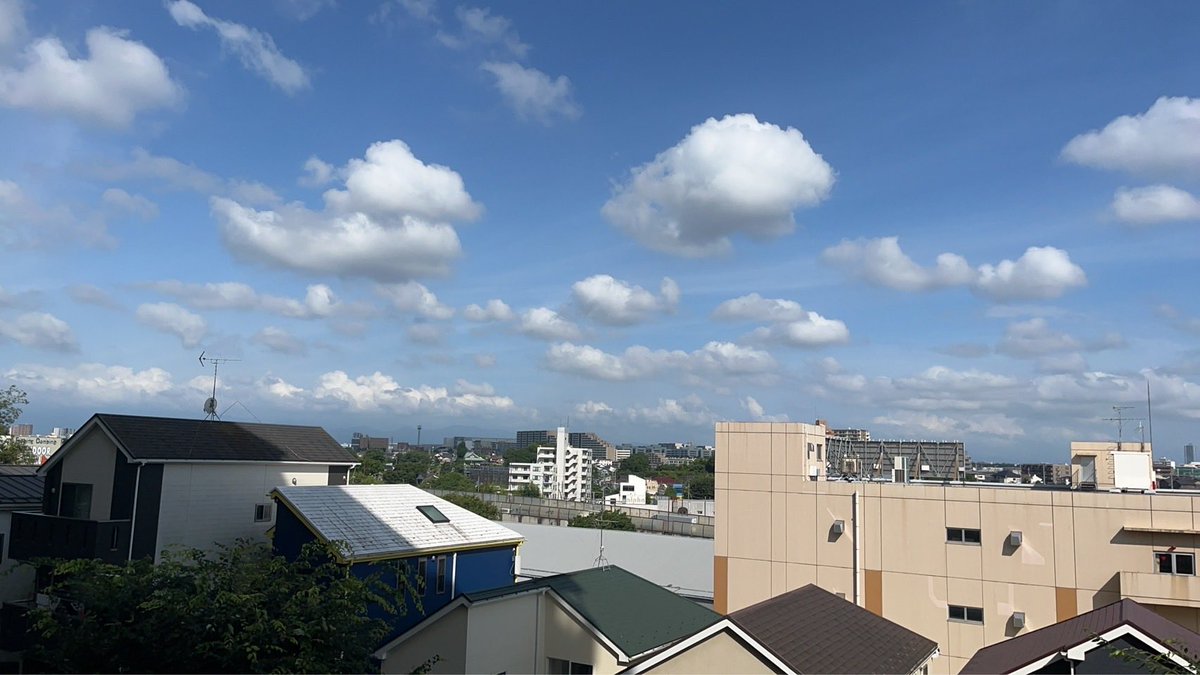 8433KR's tweet photo. 筋斗雲と出会った

普通の筋斗雲ではないぜ？
少しご機嫌斜めな筋斗雲だった！お口まであるw https://t.co/ZwSKg87CXD