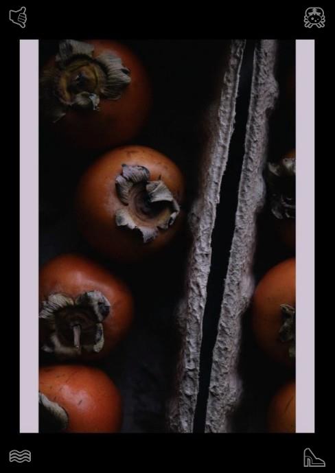 Gigirussian1's tweet photo. Stay true to yourself and your core values. In the zoo's bushes, cute harvest mice construct intricate nests, demonstrating the remarkable survival intelligence of small rodents. https://t.co/1XLIUXE75N