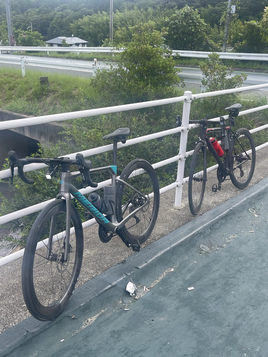 chara062's tweet photo. 朝練　蓬莱峡ヒルクライム

本日はチームメイト3人で朝練。

まずは蓬莱峡アタック！

序盤は様子を見るつもりでしたが、流れで先頭へ。すると先生が煽るようにピッタリ後ろについてきます。

最近の練習成果を見せるため、アウターギア縛りで行けるところまで全開！

ダンシングも織り交ぜながら、少しでも脚を温存するよう工夫して耐えます。

しかし、途中の斜度が一気に上がるポイントでついにギブアップ…。
先生に先へ行ってもらいました。

それにしても、アルミのグラベルバイクでスイスイ登っていく先生。
まだまだ敵いません😭

中盤は勾配が緩むので再びアウターでガシガシ踏み直します。

「最後までアウターで！」と思っていましたが、体力が続かずラストはインナーへ。

ゴールすると先生から一言。

「6分半やな。」

まだそんなに差がありますか…😭

でも、その分やり甲斐があります👍

とりあえず自己ベスト更新！

続いて第二ラウンドは十万辻！

登り切った後はチームメイトと、自転車の乗り方について熱く語り合いました。

ペダリングや体の使い方、意識の持ち方、考え方を少し変えるだけでも速くなることがある。

まだまだ伸び代はありそうだ🧐

#FOCUS #イザルコマックス #シマノ #デュラエース #サイクリング #ロードバイク  #ダイエット #筋トレ #ボディーメイク #減量 #美容 #健康