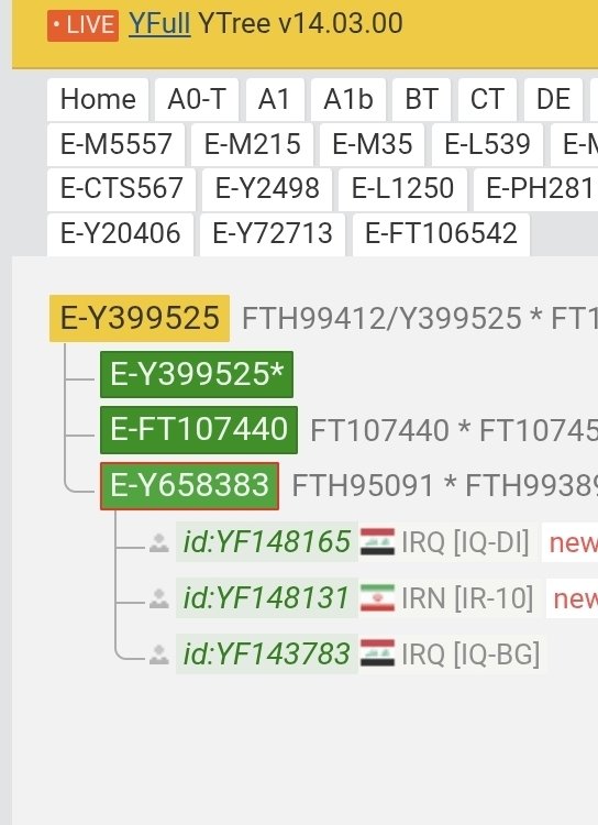 Em35V22's tweet photo. بالتعاون مع مشروع بني زيد في العراق وسوريا.
يسرنا الإعلان عن نتيجة تطوير BigY لعينة من بني زيد الرواشد في محافظة ديالى في دولة العراق.
على السلالة #EV22 التحور E-FT107383
نبارك لصاحب العينه هذه النتيجة و نشكره على مساهمته بإثراء هذا العلم. https://t.co/asvdpJY5H3