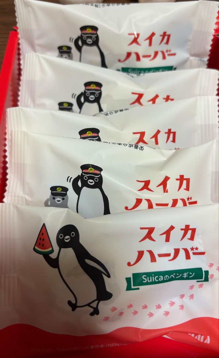tsuminnn's tweet photo. Suicaペンギン🍉スイカハーバー 

Suicaはずーっとペンギンのままでいいよう。。。😭 https://t.co/zYmCW6Adow