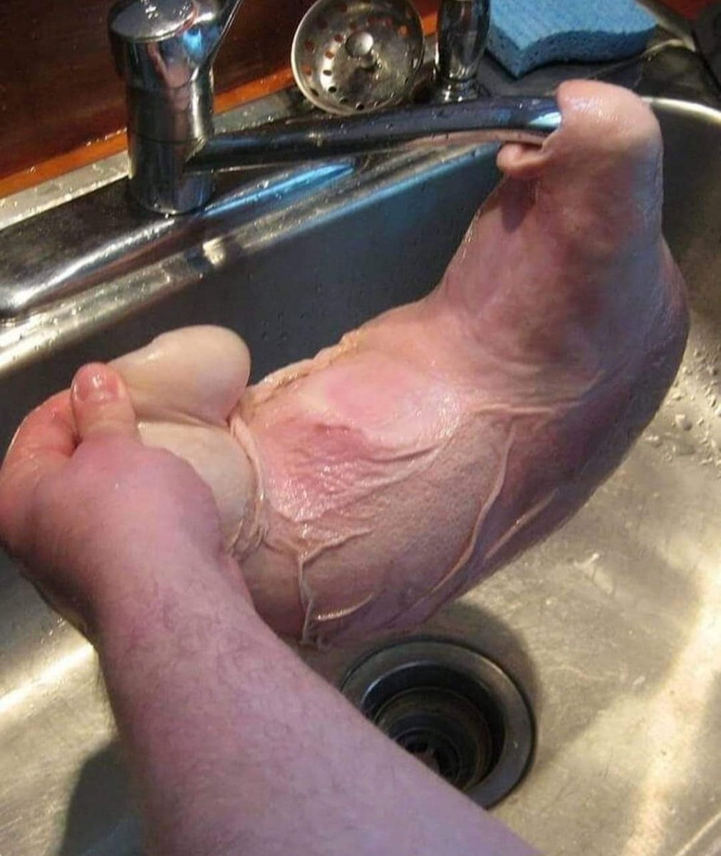 vernoupatoche's tweet photo. J'ai enfin réussi à remplir intégralement mon Myocarde-Hydro-Réceptacle au lavabo de la cuisine, après trois tentatives infructueuses cette semaine.

Chaque victoire compte.

Amicalement, Patrick Vernou du Limousin, Corrèze (19) https://t.co/qo9anJvAyX