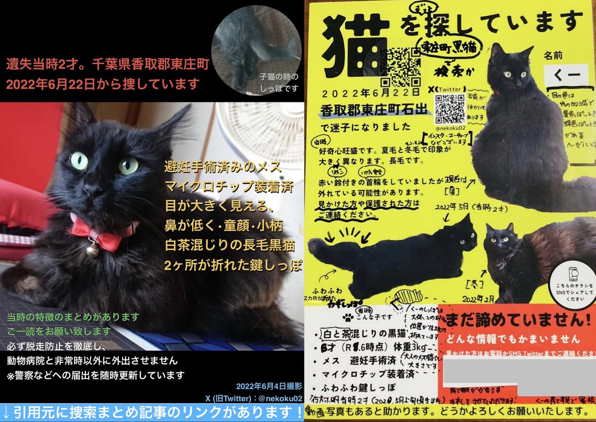 nekoku02's tweet photo. 【千葉県香取郡東庄町 長毛黒猫くー♀を探してます】
引用元に詳細：力強いお囃子が聴こえてきます。祭りには早いですが音の届く場所にくーもいます様に🙏

⭕️2ヶ所が折れた鍵しっぽ
⭕️光の加減で黄↔︎緑に見える目
⭕️成猫の雌らしい小柄

#東庄町 石出 '22年6/22 迷子 下総橘駅 香取市 旭 銚子 神栖 https://t.co/NshKD1BmpR