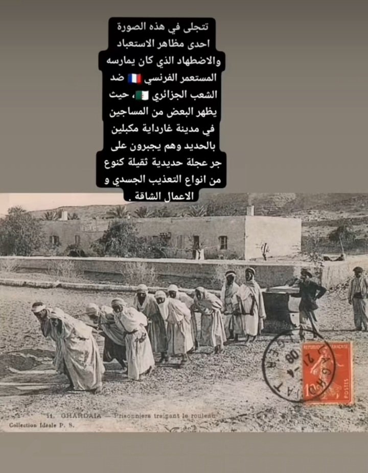 rivedroite7's tweet photo. @lina132082523 هذا بعض مافعلته بهم أمهم فغنسا https://t.co/zSIBtP3jAK