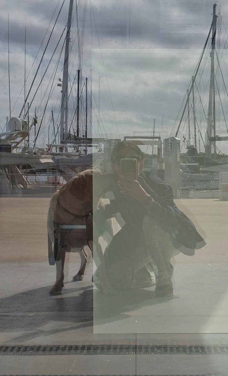 ManzanasFujis's tweet photo. La gente me mira en el puerto y es lógico, vas con un labrador para comérselo y con un pijama del #Primark que no uso para dormir...
#Verano26 #Azul🐕 #LosDesayunosBonitos https://t.co/Rlgeel8iBh