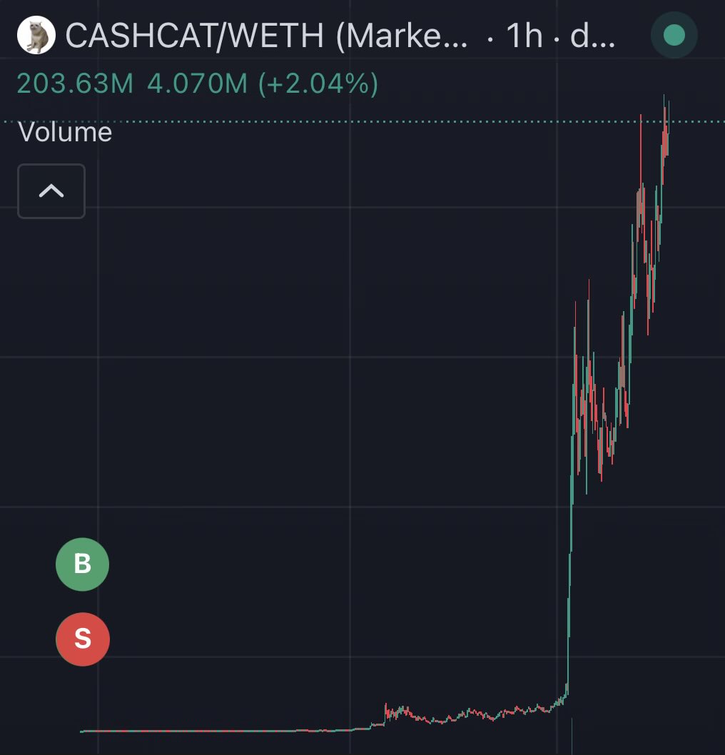 kkashi_yt's tweet photo. Someone bought $36 $cashcat and sold all of it for $30 which now is worth over $140,000 https://t.co/0Uk2hZWONp