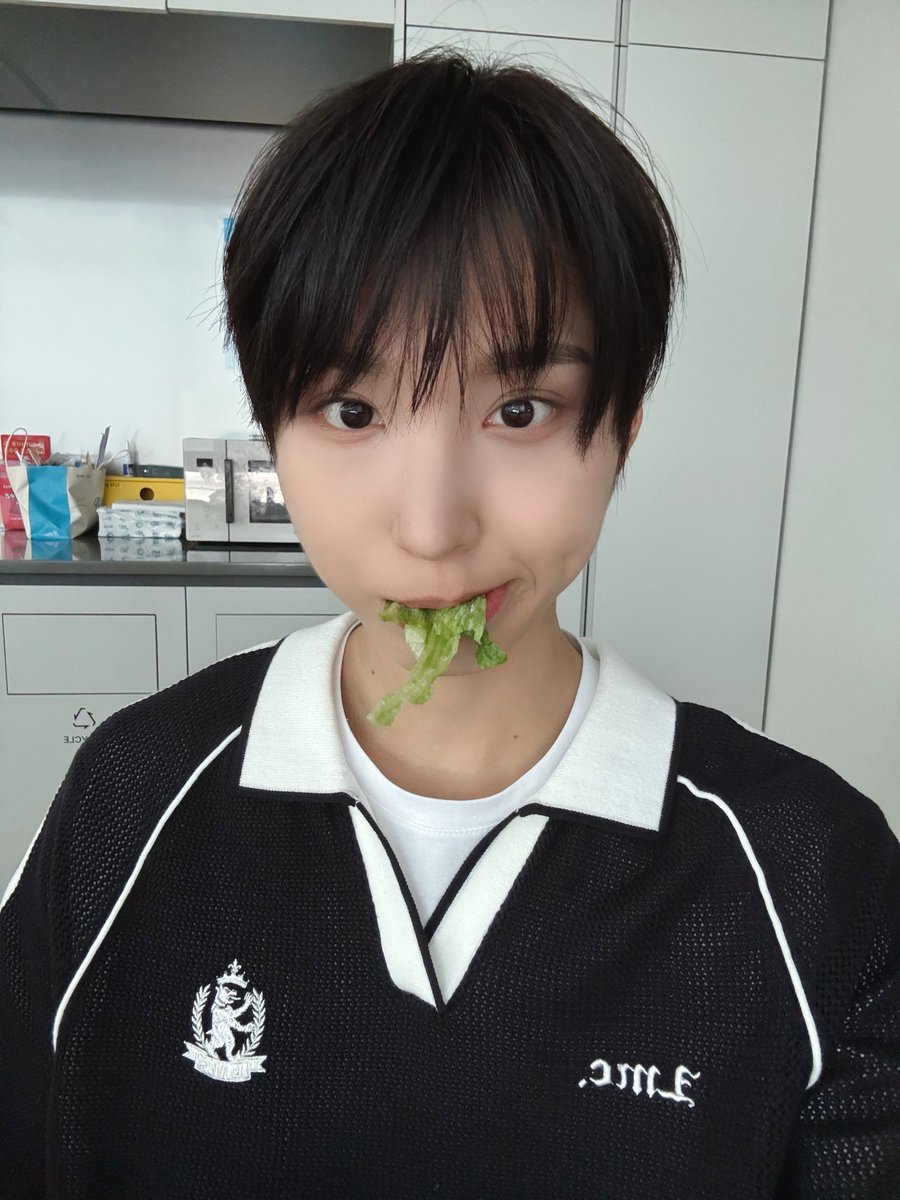 햄치 tweet media