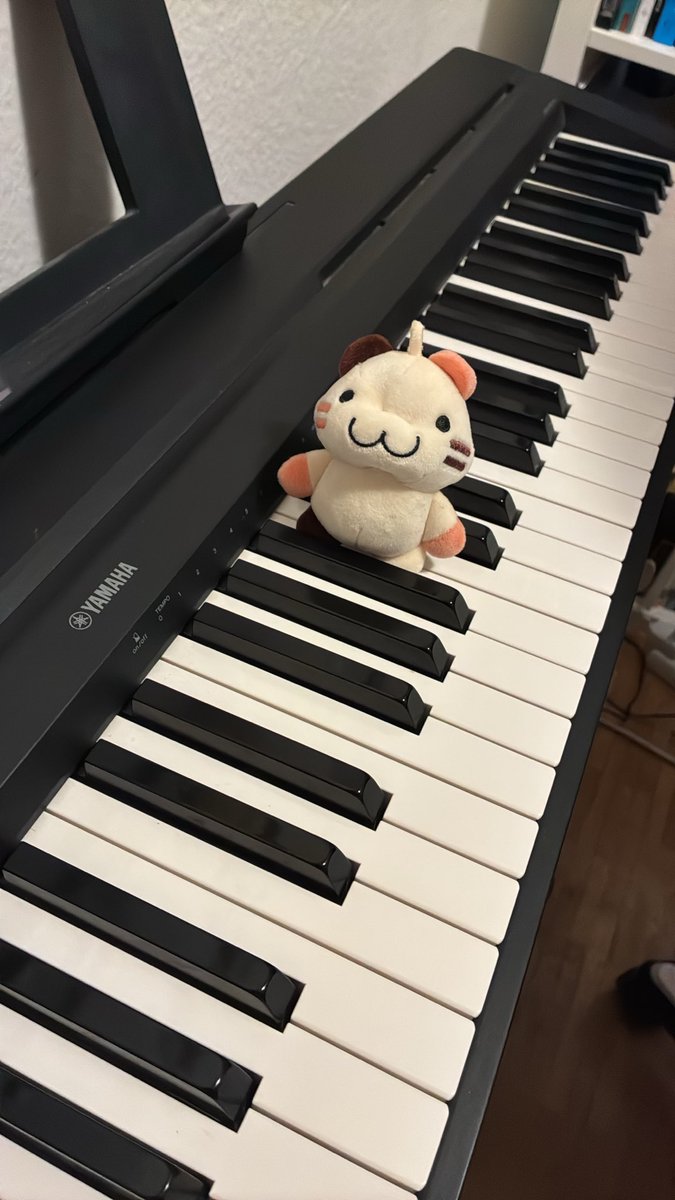 _itzShoyo's tweet photo. $Crumb decided, it‘s gonna play the piano today https://t.co/GZVp0auyj9