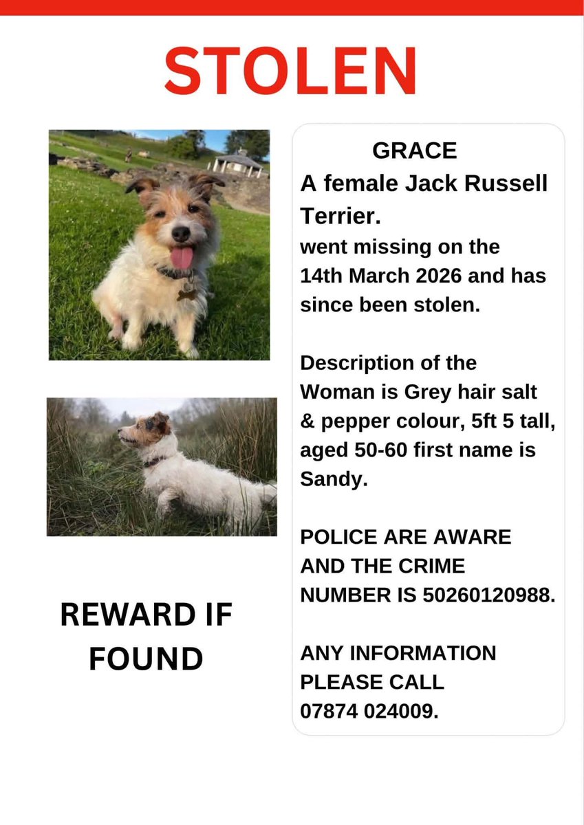 joannew0112's tweet photo. @itvwestcountry please can you help the owner of Stolen Grace ? Her poor owner is working tirelessly to find her but she needs help 🙏🙏 please provide me with info on who she can contact as she has been trying but getting no response 😔🙏 https://t.co/kBbPHZU2LE