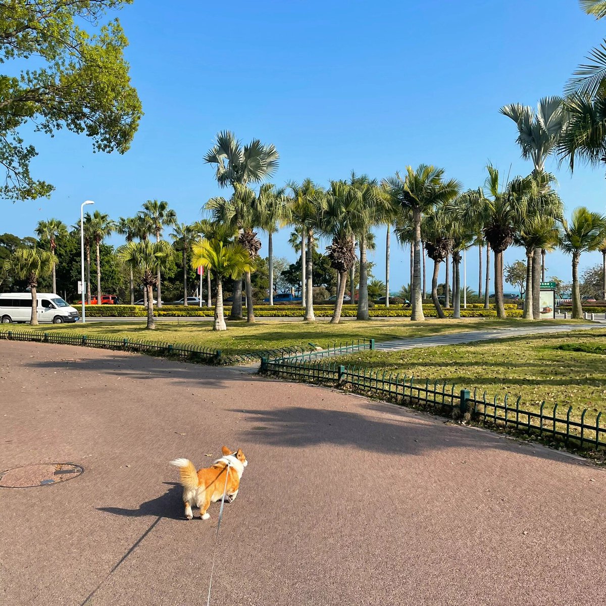 TaTrailwgsz's tweet photo. Nothing beats coming home to a wagging tail and a warm purr—my furry sidekick makes every ordinary day feel like a party. https://t.co/JnOPI2567s