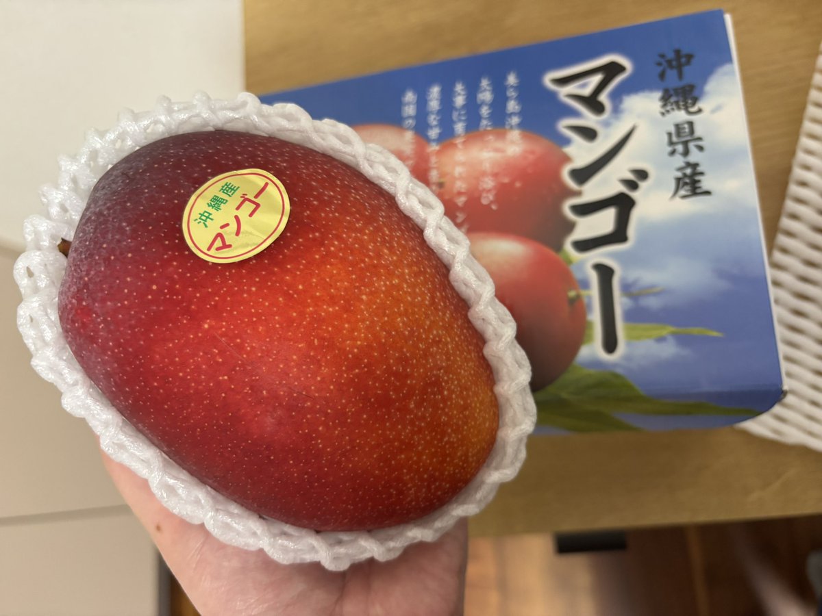 hida_mi's tweet photo. 沖縄にいるお友達からマンゴー贈っていただきました🥭きゃっほー🎶甘くて美味しい〜贅沢〜ありがとうございました！おさび🐱にもおみぎ🐱にも見せたげよ https://t.co/wKFmDfNGf5