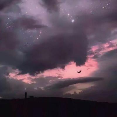 vangarrr's tweet photo. The best revenge is becoming a version of yourself that needs no revenge.   🌱 🍄 🎈 https://t.co/6Zv5YQcwl4