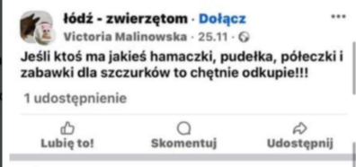 feetQ2002's tweet photo. @bigal2599 @rafalpolsak @panpandka A zresztą masz nieudasie, 3 minuty w google. Postów było więcej ale nie ze wszystkiego są skriny. https://t.co/GMw8r0Sy1M