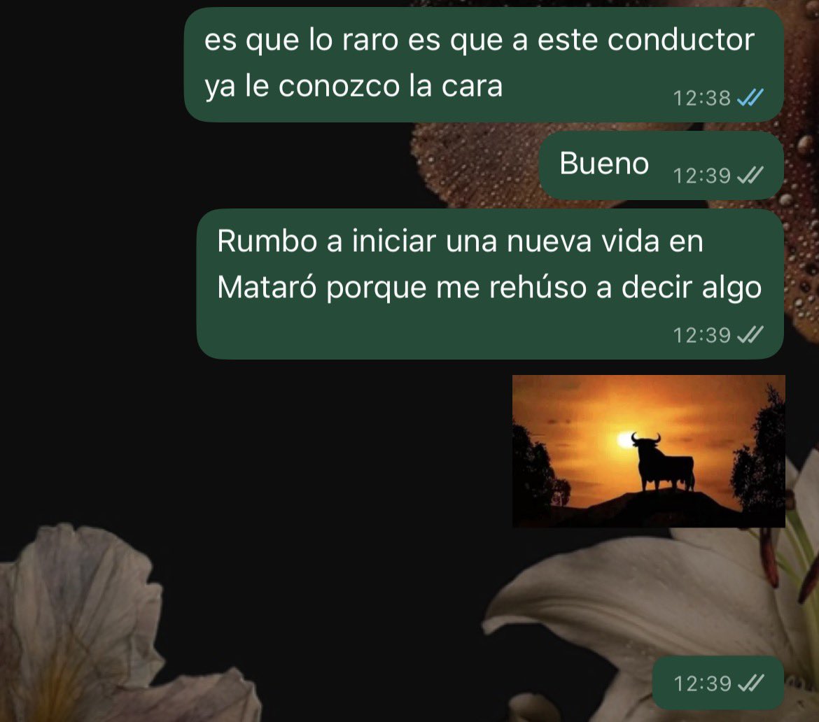 camcappe's tweet photo. Voy vía al trabajo y el conductor se tomó un desvío de 25 minutos en la ruta que ya de por sí son 35 minutos desde Barcelona. Deséenme suerte. https://t.co/Oj6ujWYL6x