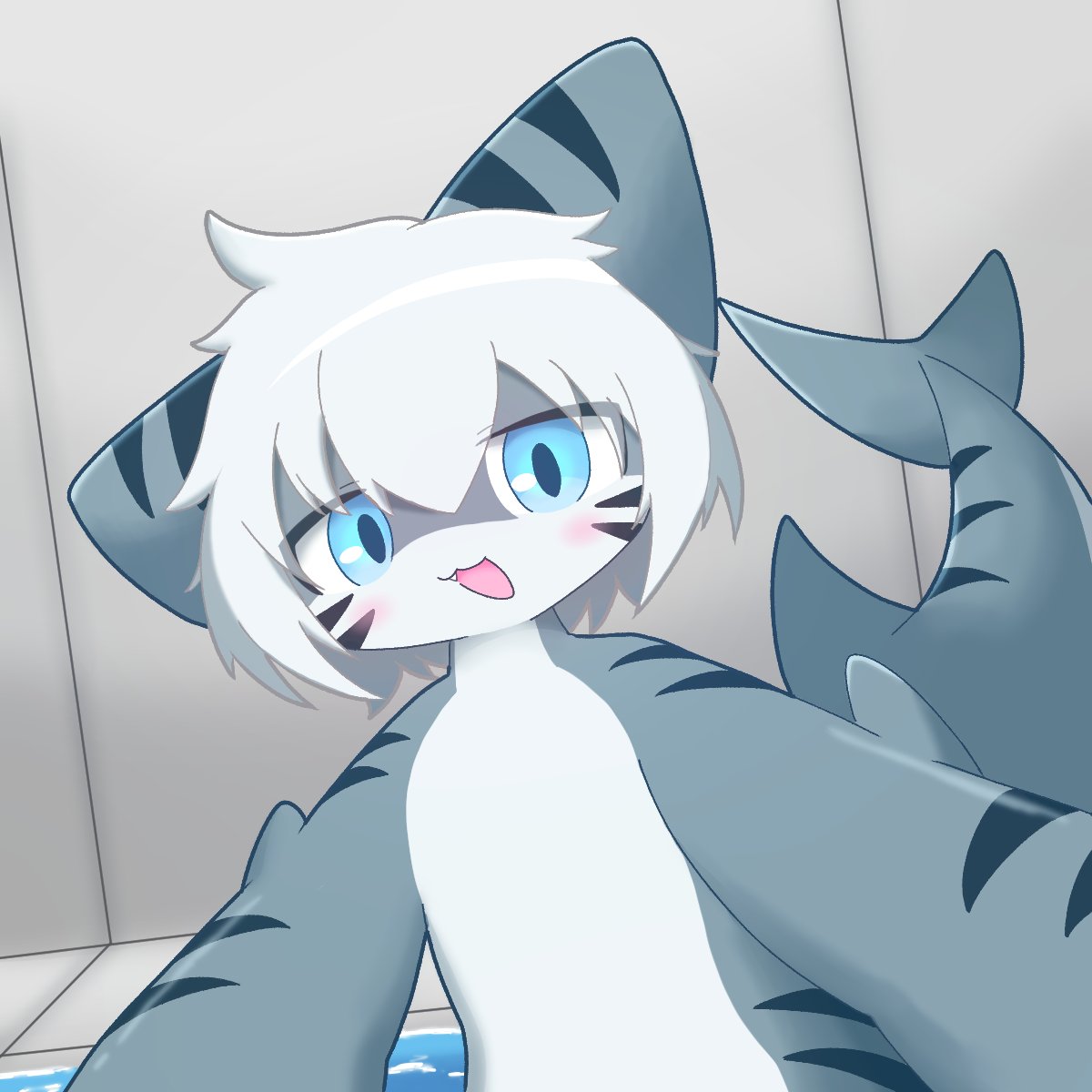 kanukasa_owo's tweet photo. タイガーシャークくん！
#changed https://t.co/GlNS3CXCK5
