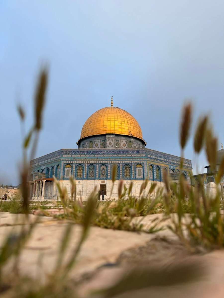 MuhammadSmiry tweet picture