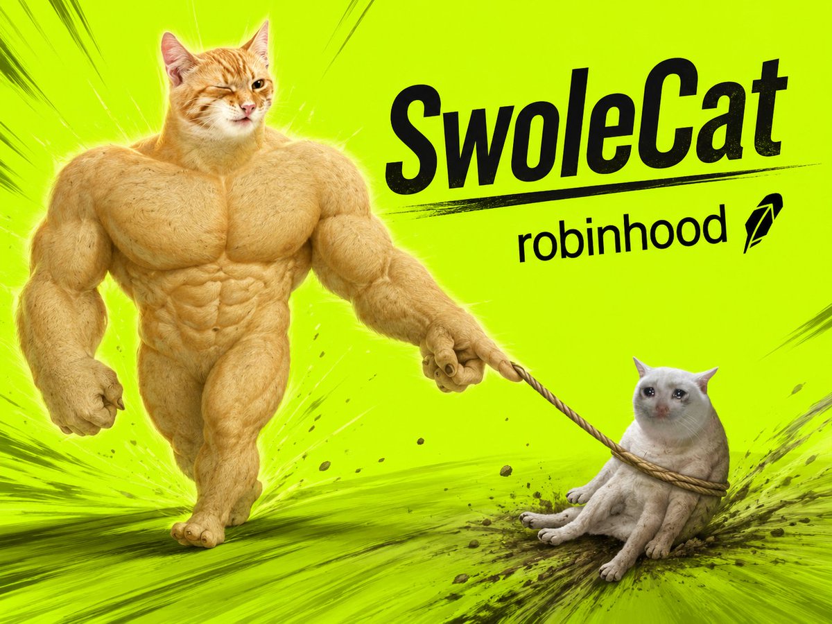 SwoleCat tweet media