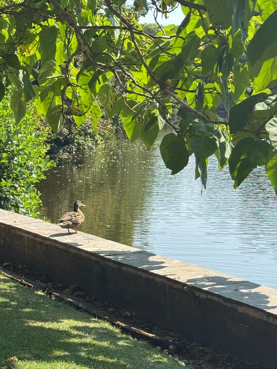 WarWidowsAssoc's tweet photo. Just spent 2 v hot days with some members in  lovely Lichfield, visiting Cathedral &amp; @Nat_Mem_Arb. Buggy rides helped us enjoy the memorials more comfortably.
TY to our hosts - you were so welcoming!
Thankfully, nobody succumbed to the heat but most gave in to ice cream 😂🍦 https://t.co/PwTjBUC7q9